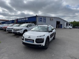 C4 CACTUS BLUEHDI 100 FEEL