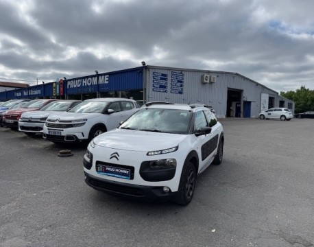 C4 CACTUS BLUEHDI 100 FEEL