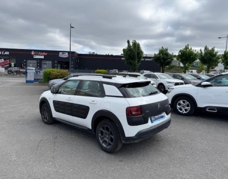 C4 CACTUS BLUEHDI 100 FEEL