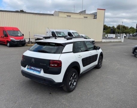 C4 CACTUS BLUEHDI 100 FEEL