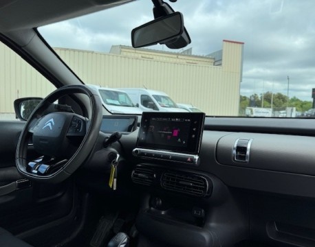 C4 CACTUS BLUEHDI 100 FEEL