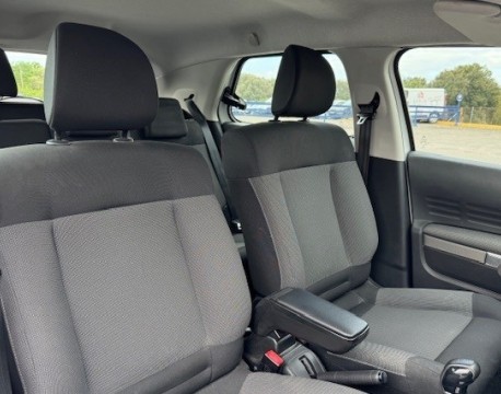 C4 CACTUS BLUEHDI 100 FEEL