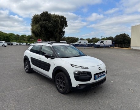 C4 CACTUS BLUEHDI 100 FEEL
