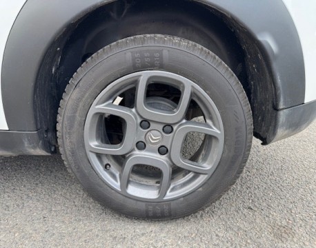 C4 CACTUS BLUEHDI 100 FEEL
