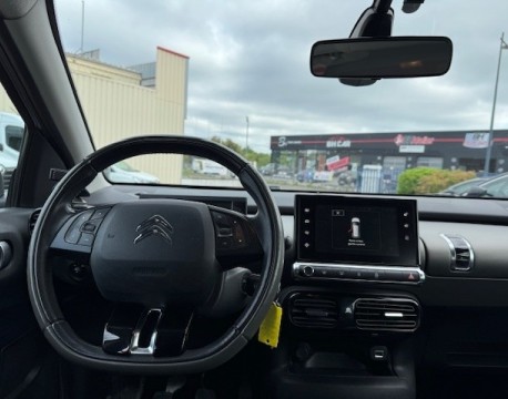 C4 CACTUS BLUEHDI 100 FEEL