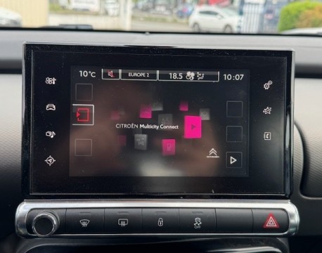 C4 CACTUS BLUEHDI 100 FEEL
