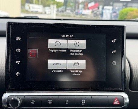 C4 CACTUS BLUEHDI 100 FEEL