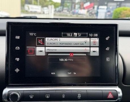 C4 CACTUS BLUEHDI 100 FEEL