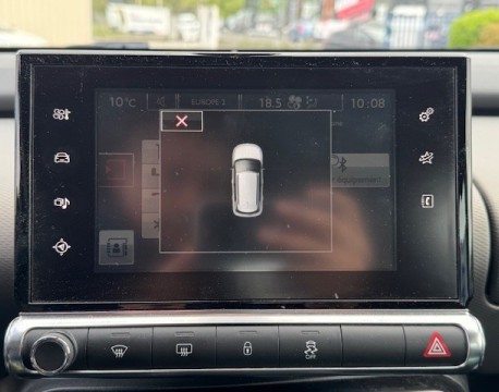 C4 CACTUS BLUEHDI 100 FEEL