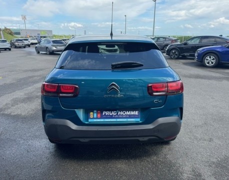 C4 CACTUS PURETECH 110CH S&S SHINE E6.D