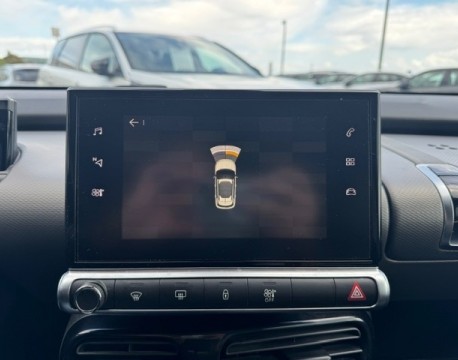 C4 CACTUS PURETECH 110CH S&S SHINE E6.D