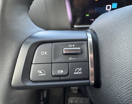 C4 1.2 PURETECH 130CH S&S MAX