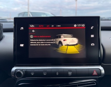 C4 CACTUS PURETECH 110CH S&S FEEL BUSINESS