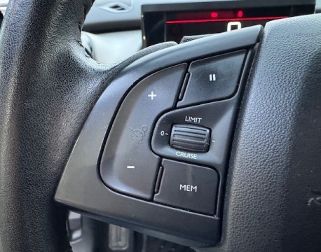 C4 CACTUS PURETECH 110CH S&S FEEL BUSINESS