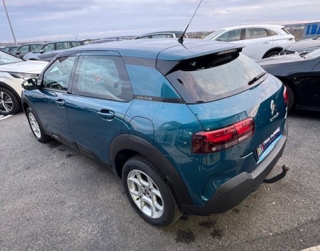 C4 CACTUS PURETECH 110CH S&S FEEL BUSINESS