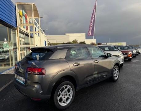 C4 CACTUS BLUEHDI 100 FEEL BUSINESS
