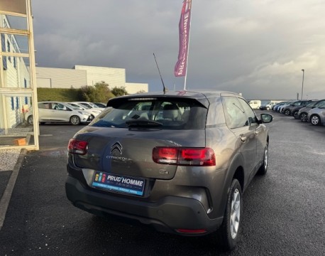 C4 CACTUS BLUEHDI 100 FEEL BUSINESS