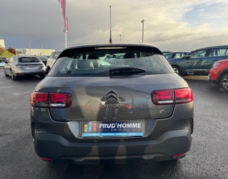 C4 CACTUS BLUEHDI 100 FEEL BUSINESS