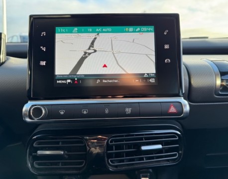 C4 CACTUS BLUEHDI 100 FEEL BUSINESS