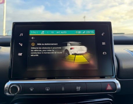 C4 CACTUS BLUEHDI 100 FEEL BUSINESS