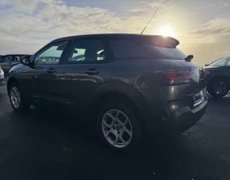 C4 CACTUS BLUEHDI 100 FEEL BUSINESS