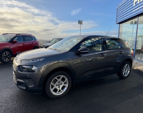 C4 CACTUS BLUEHDI 100 FEEL BUSINESS