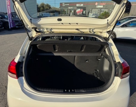 RIO 1.2 DPI 84CH ACTIVE