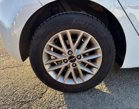 RIO 1.2 DPI 84CH ACTIVE