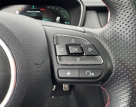 EHS 1.5T GDI 258CH PHEV LUXURY