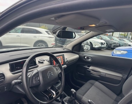 C4 CACTUS BLUEHDI 100 FEEL BUSINESS