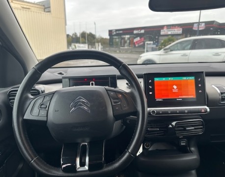 C4 CACTUS BLUEHDI 100 FEEL BUSINESS