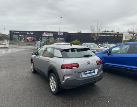 C4 CACTUS BLUEHDI 100 FEEL BUSINESS