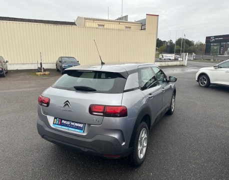 C4 CACTUS BLUEHDI 100 FEEL BUSINESS