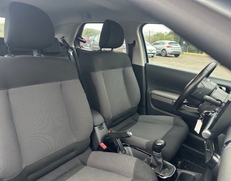 C4 CACTUS BLUEHDI 100 FEEL BUSINESS