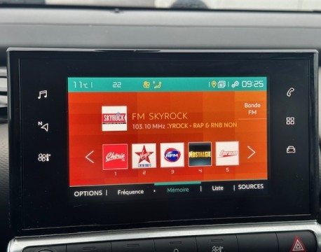 C4 CACTUS BLUEHDI 100 FEEL BUSINESS