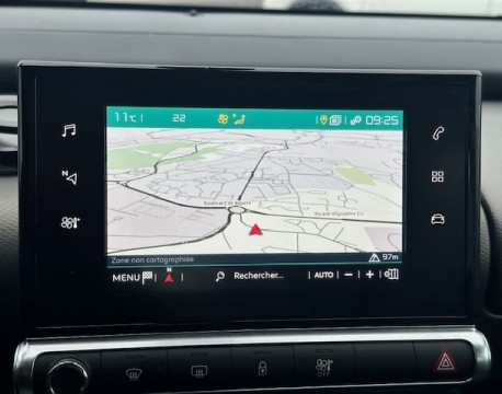 C4 CACTUS BLUEHDI 100 FEEL BUSINESS