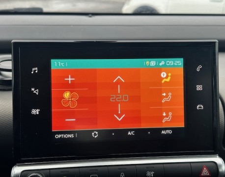 C4 CACTUS BLUEHDI 100 FEEL BUSINESS