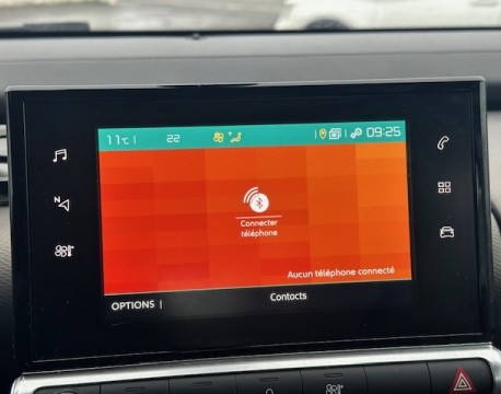 C4 CACTUS BLUEHDI 100 FEEL BUSINESS