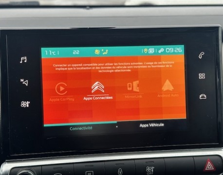 C4 CACTUS BLUEHDI 100 FEEL BUSINESS