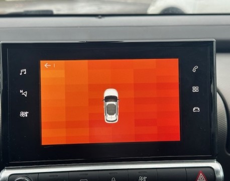 C4 CACTUS BLUEHDI 100 FEEL BUSINESS