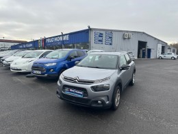 C4 CACTUS BLUEHDI 100 FEEL BUSINESS