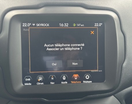 RENEGADE 1.6 MULTIJET 120CH LONGITUDE BUSINESS UTILITAIRE