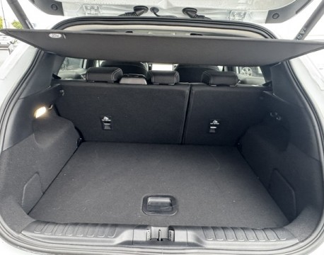 PUMA 1.0 ECOBOOST HYBRID 125CH TITANIUM BUSINESS