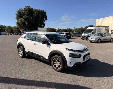 C4 CACTUS BLUEHDI 100CH S&S FEEL BUSINESS E6.D-TEMP