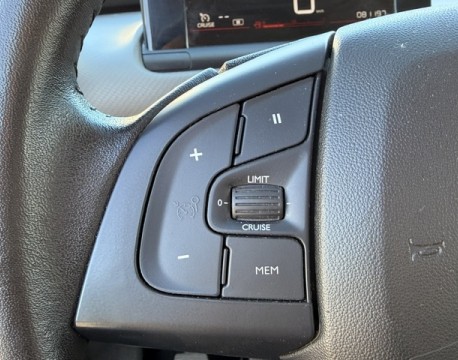 C4 CACTUS BLUEHDI 100CH S&S FEEL BUSINESS E6.D-TEMP